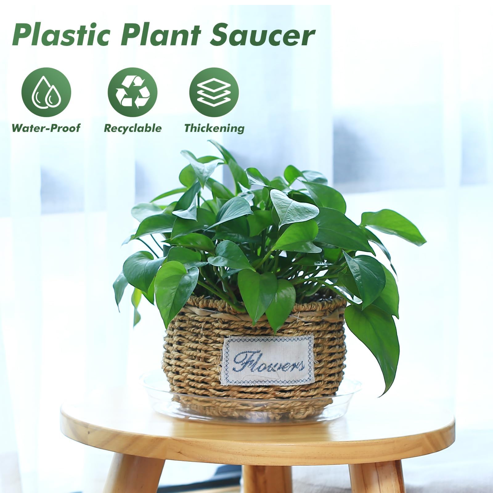 20 Pack 12 Inch Clear Plastic Plant Saucers - Large Drip Trays for Indoor Flower Pots & Planters | Heavy Duty Water Catchers for Potted Plants, Houseplants, Gardening & Home Decor (Bulk Set)