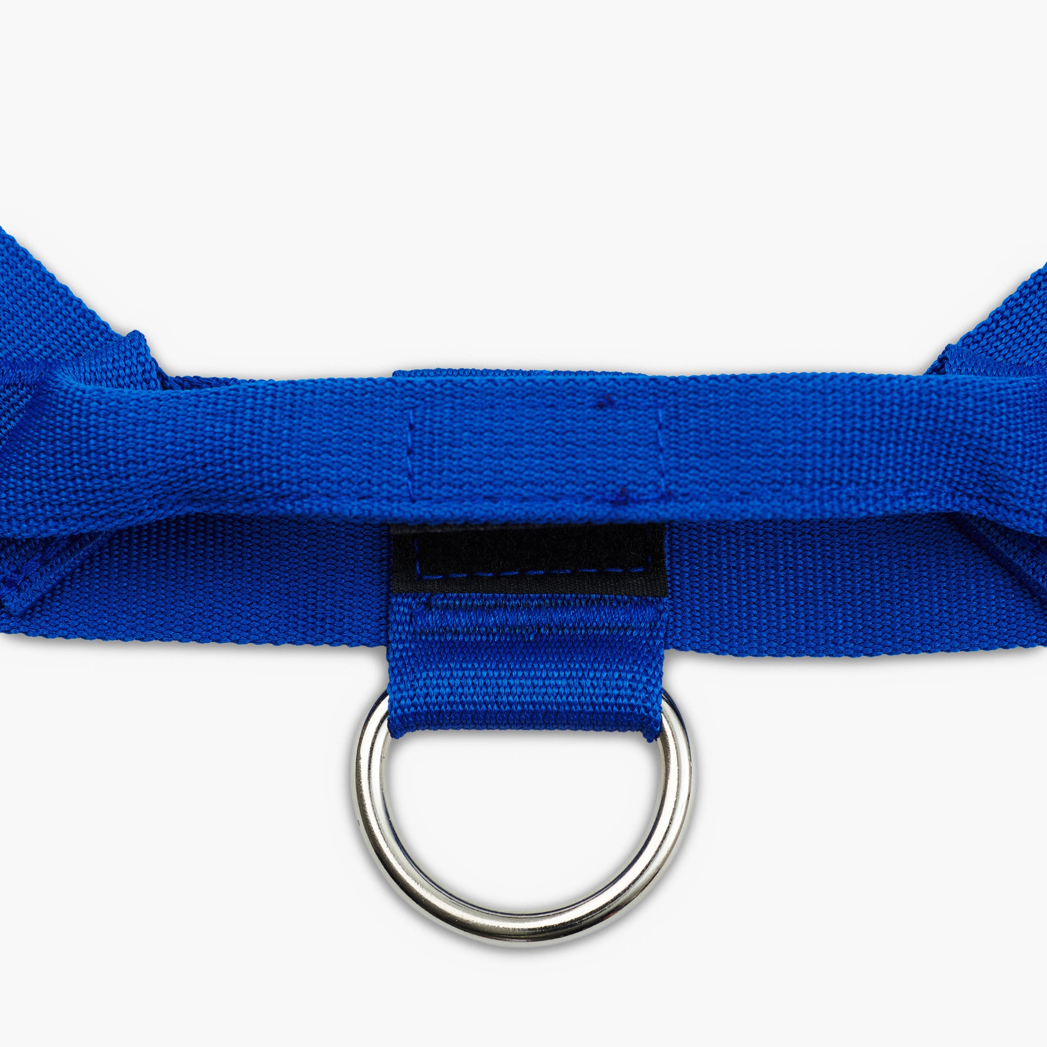 Dog Friendly Co. Classic Blue Dog Harness - Adjustable & Reflective for Small to Large Dogs - Perfect for Walking, Hiking & Outdoor Adventures