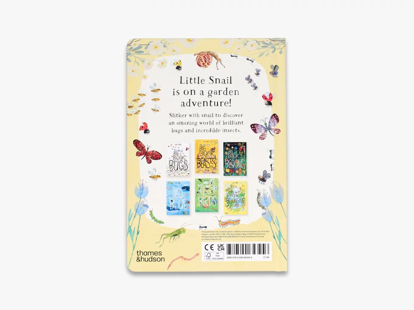 Little Snail's Book of Bugs - Educational Children's Nature Book | The Big Book Series | Perfect for Homeschooling & Classroom Learning