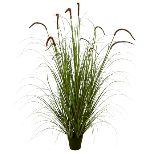 Purple-5ft(1pack)