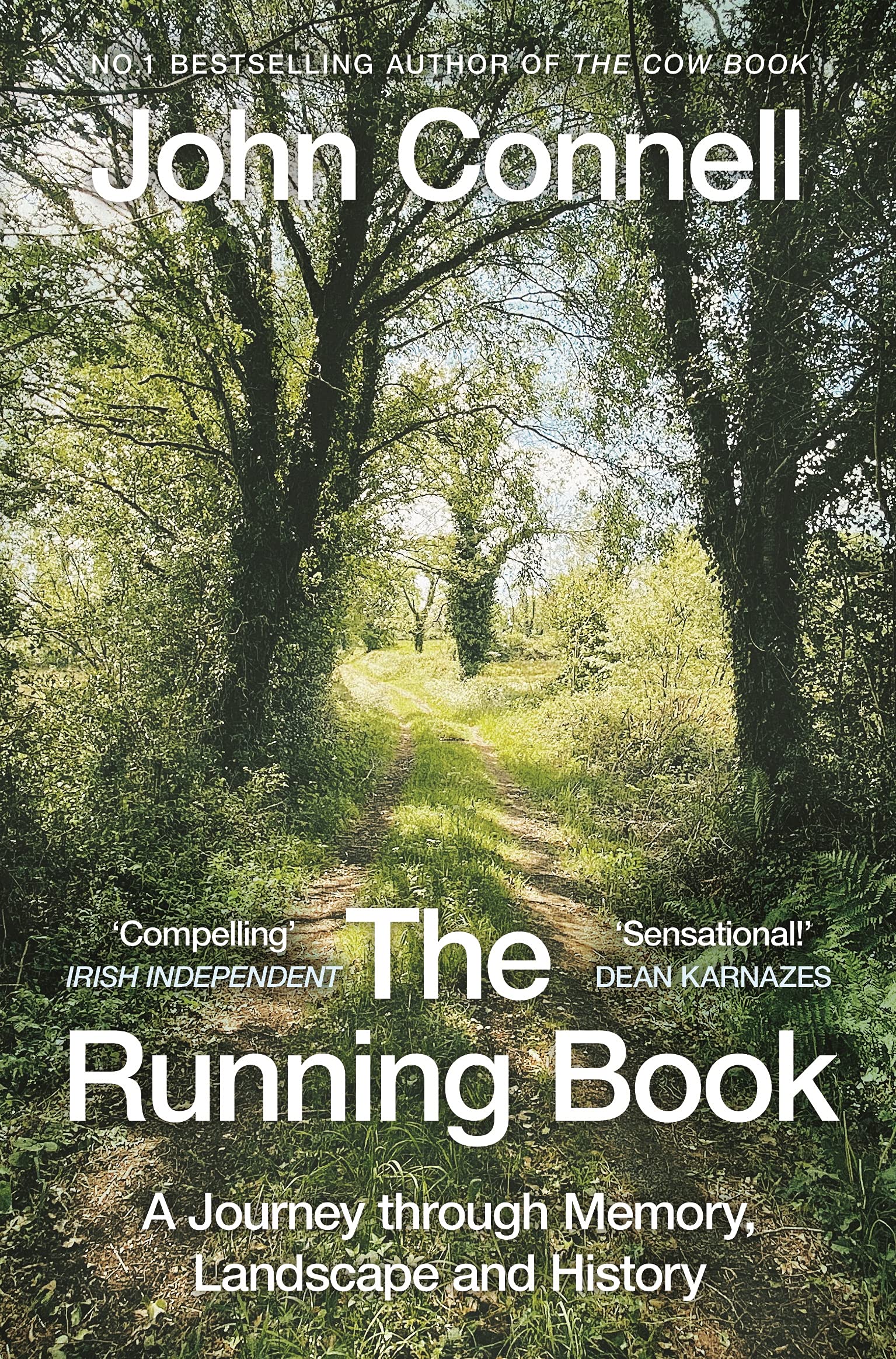 The Running Book: A Journey Through Memory, Landscape and History - Inspiring Stories for Runners, Travelers & History Enthusiasts