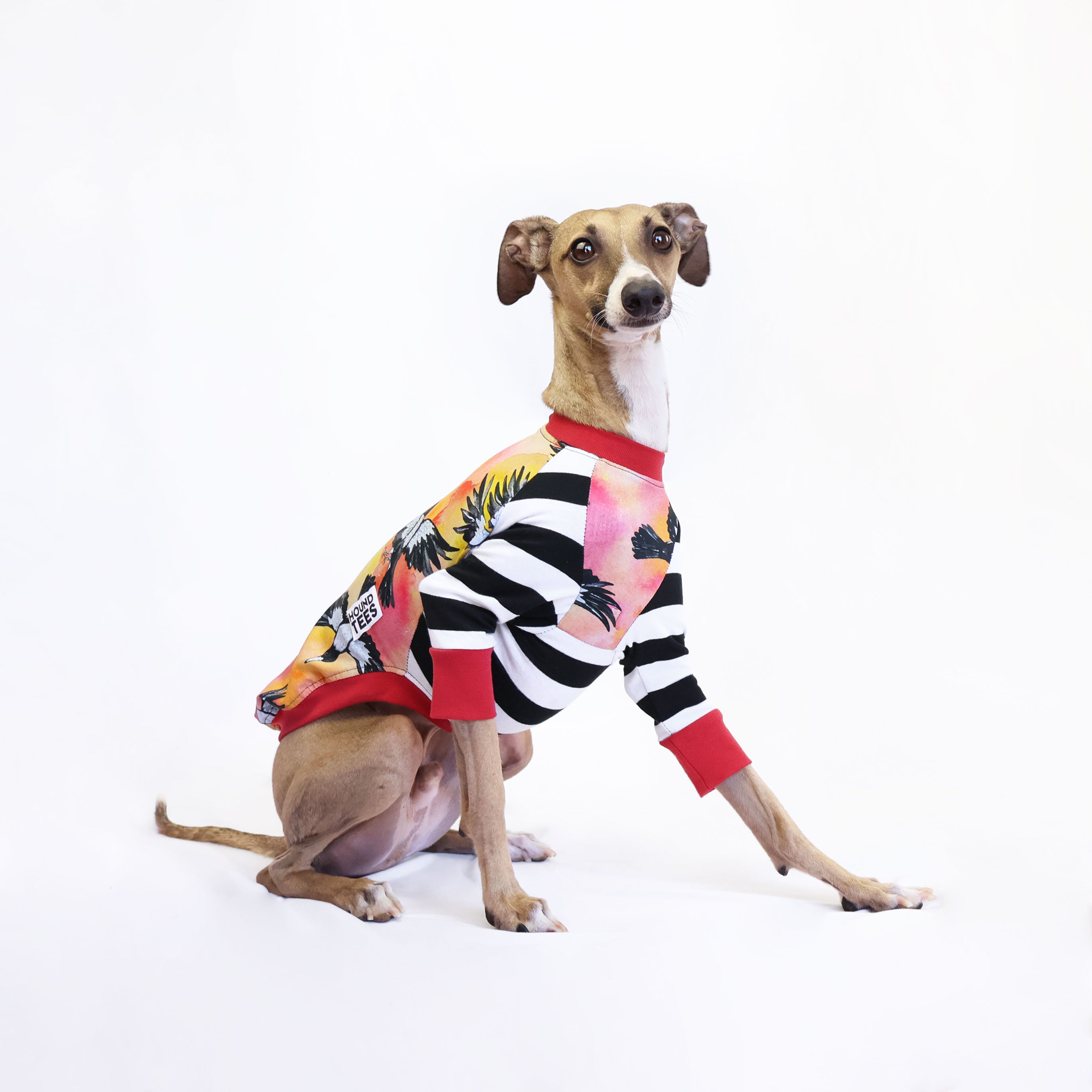 Italian Greyhound Long Sleeve T-Shirt - Cute Swoopy Boi Dog Lover Tee - Perfect for Dog Walks, Gifts & Casual Wear