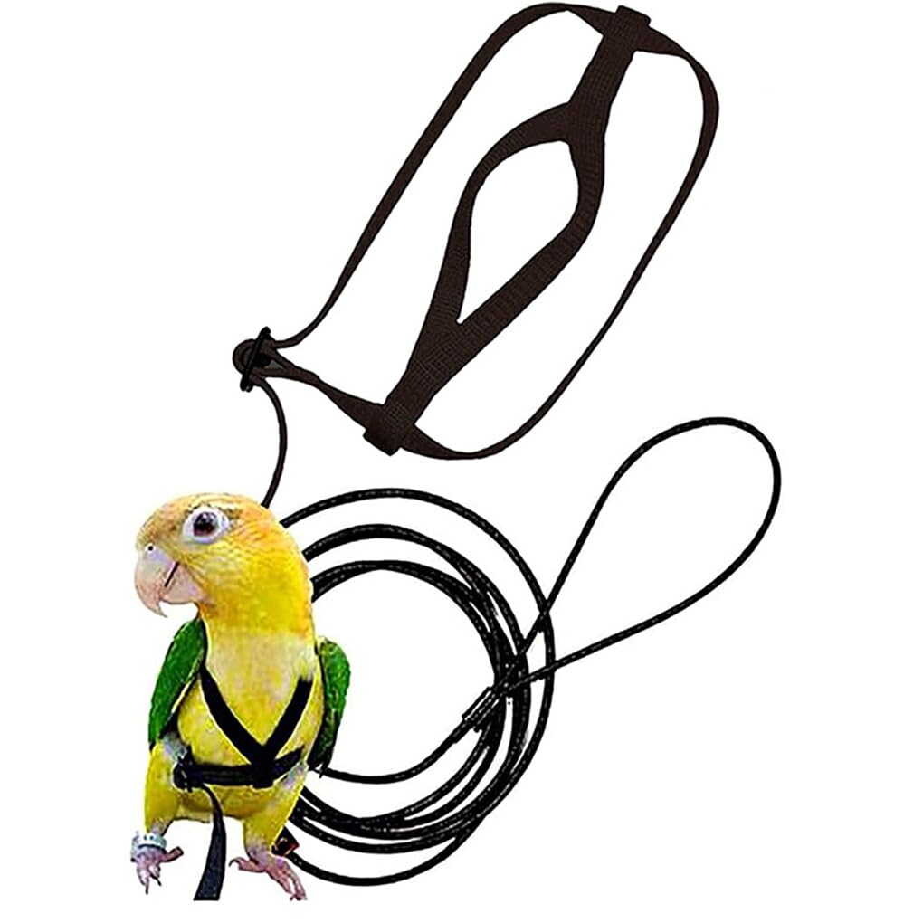 Adjustable Parrot Harness and Leash - Easy-to-Wear Nylon Bird Flying Harness for Small to Medium Parrots - Perfect for Outdoor Training, Walks, and Safe Flight Exercises