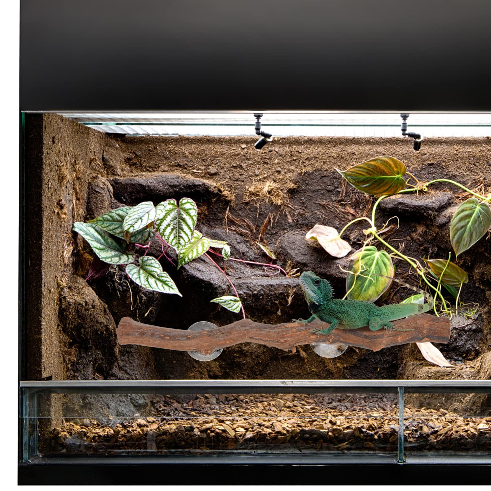Premium Reptile Climbing Branch - Natural Terrarium Decor with Suction Cups for Lizards, Snakes & Geckos | Perfect for Habitat Enrichment & Vertical Climbing Space in Reptile Tanks