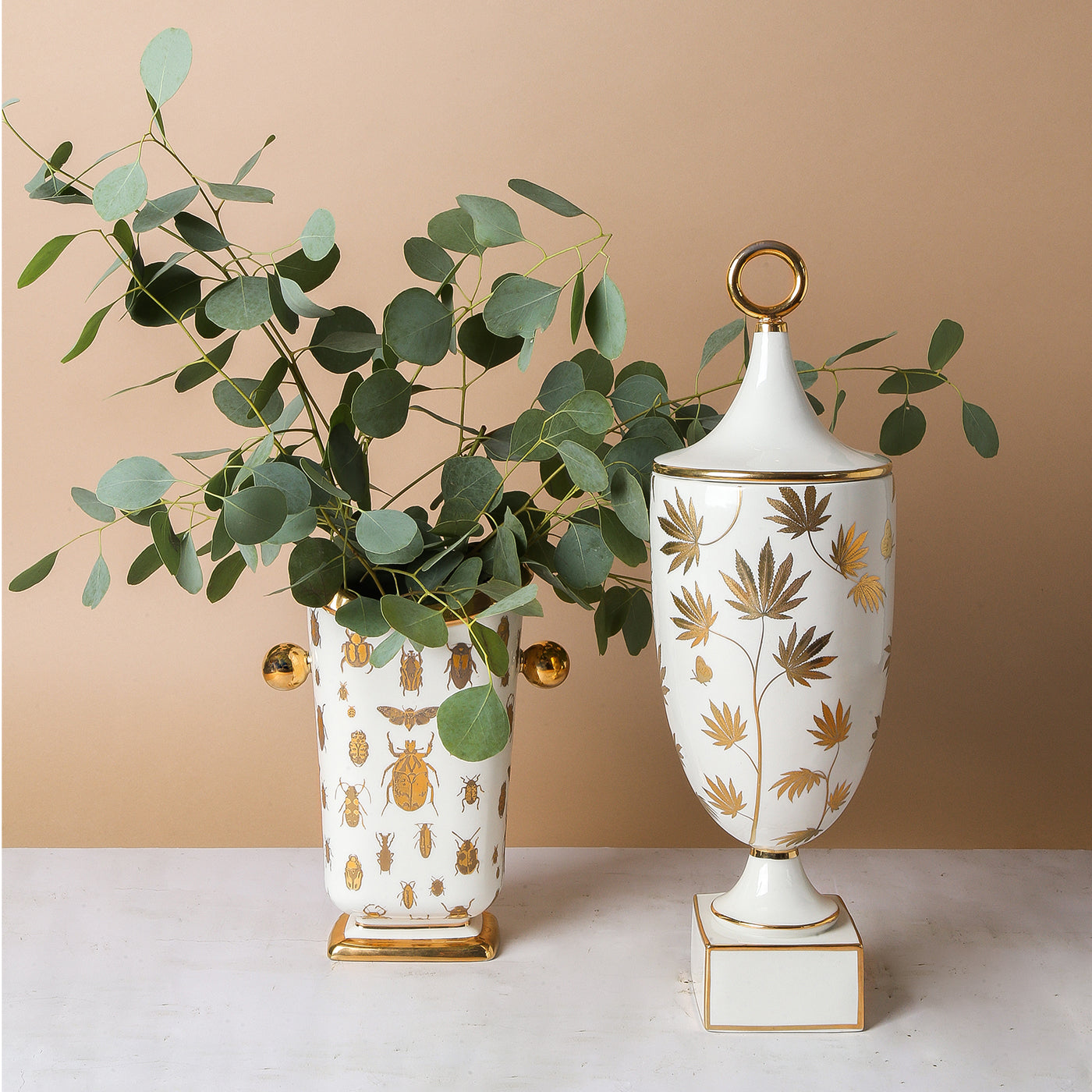 Botanical Specimen Vase - Clear Glass Display Container for Flowers, Plants & Herb Collections - Perfect for Home Decor, Science Labs & Classroom Demonstrations