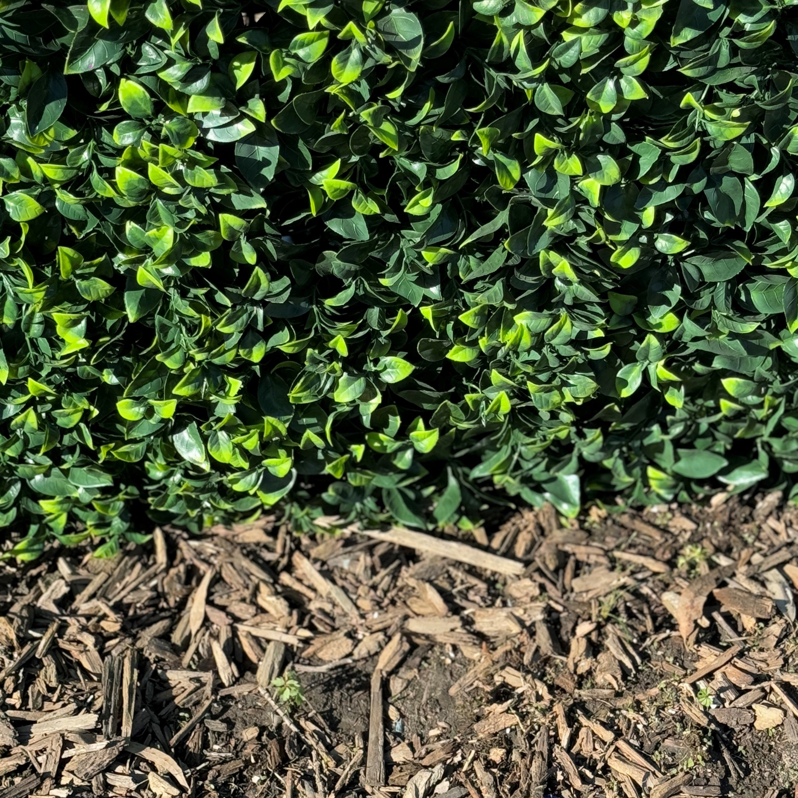 Artificial Pittosporum Hedge Panel - 75x100x25cm Freestanding Privacy Screen for Outdoor Garden, Patio, and Balcony Decor