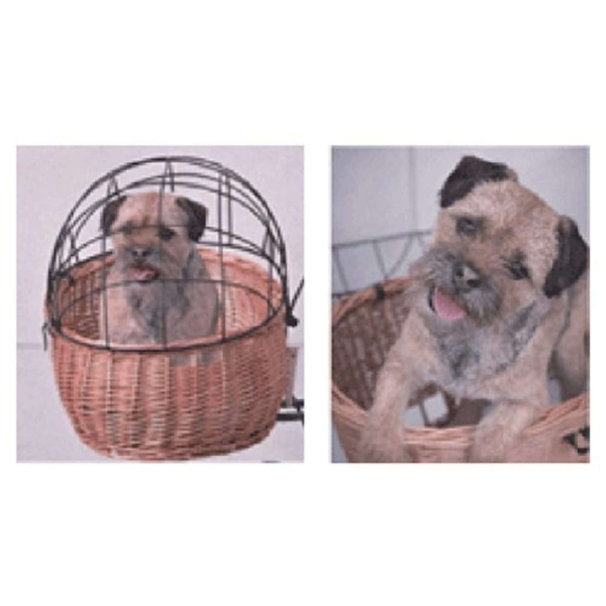Basil Pluto Front Bicycle Basket for Pets - Natural Wicker Pet Carrier for Dogs & Cats - Perfect for Cycling, Shopping & Outdoor Adventures