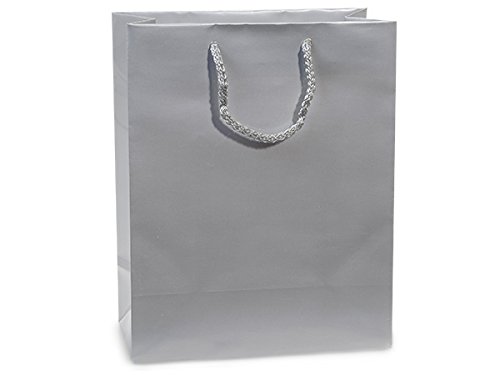 Premium Silver Gloss Laminated Gift Bags Bulk Pack (8