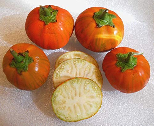 Organic Turkish Orange Eggplant Seeds - Non-GMO Heirloom Variety (25+ Seeds) for Home Vegetable Gardening | Perfect for Container Planting & Mediterranean Cuisine