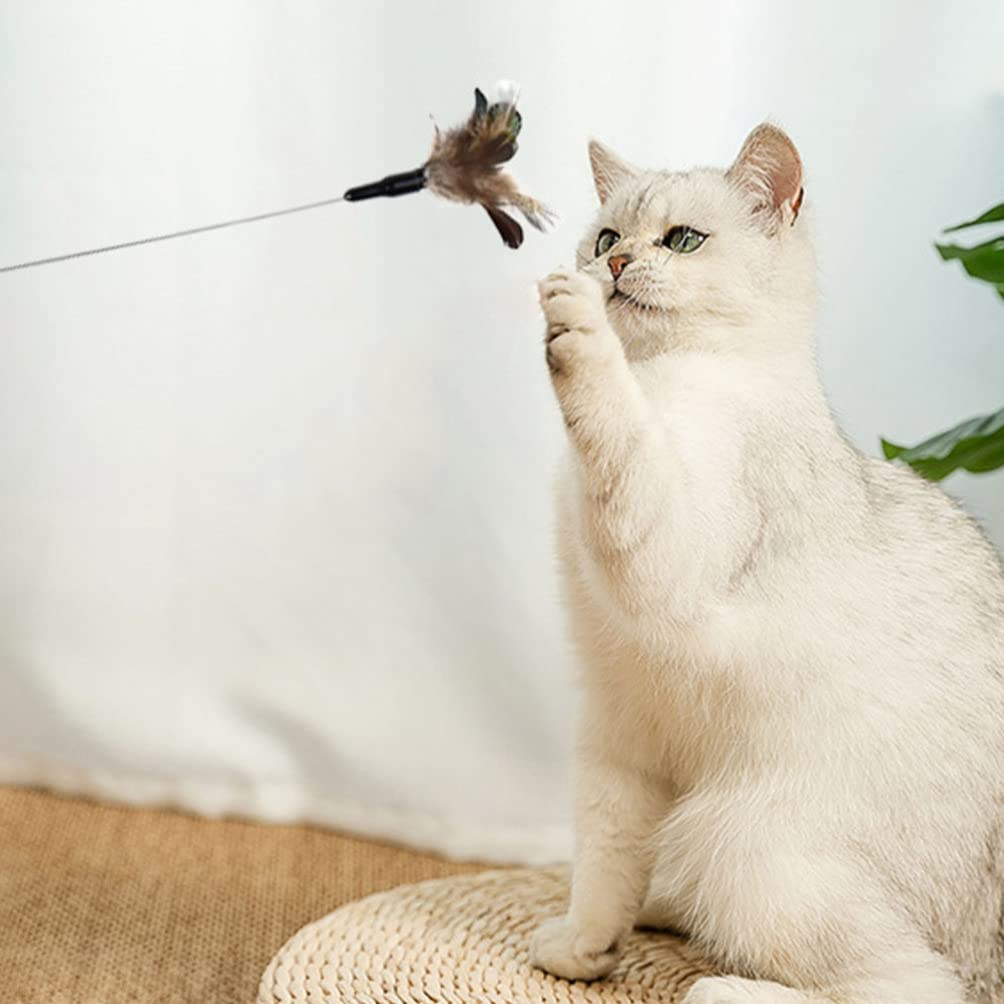 Balacoo 2-Pack Interactive Cat Toys with Feather Teaser - Telescoping Wand for Kittens & Adult Cats - Fun Playtime & Exercise for Indoor Pets - Perfect for Bonding & Stimulation