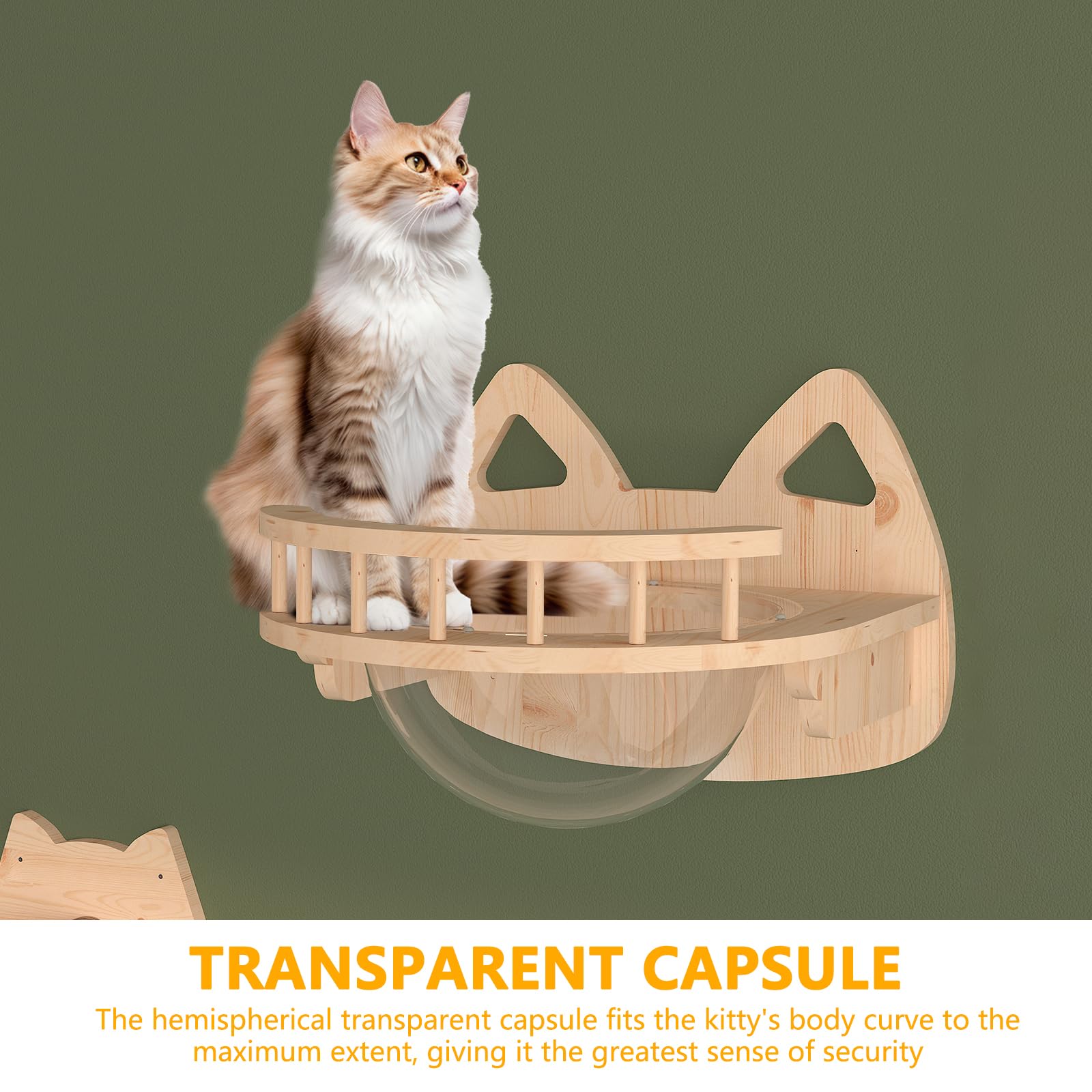 13-Piece Transparent Cat Wall Furniture Set - 4-Tier Scratching Post, 2 Sisal Scratching Steps, Wall-Mounted Bed & Bridge for Cats up to 33 lbs | Space-Saving Cat Climbing Shelves for Indoor Play & Relaxation