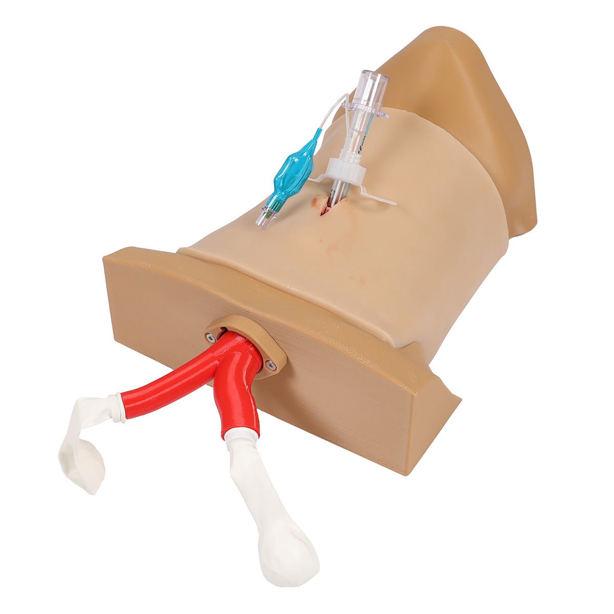 Crico Chris Cricothyrotomy Task Trainer - High-Quality Medical Simulation Model for Emergency Airway Training | Perfect for EMT, Paramedic & Medical Students Practice