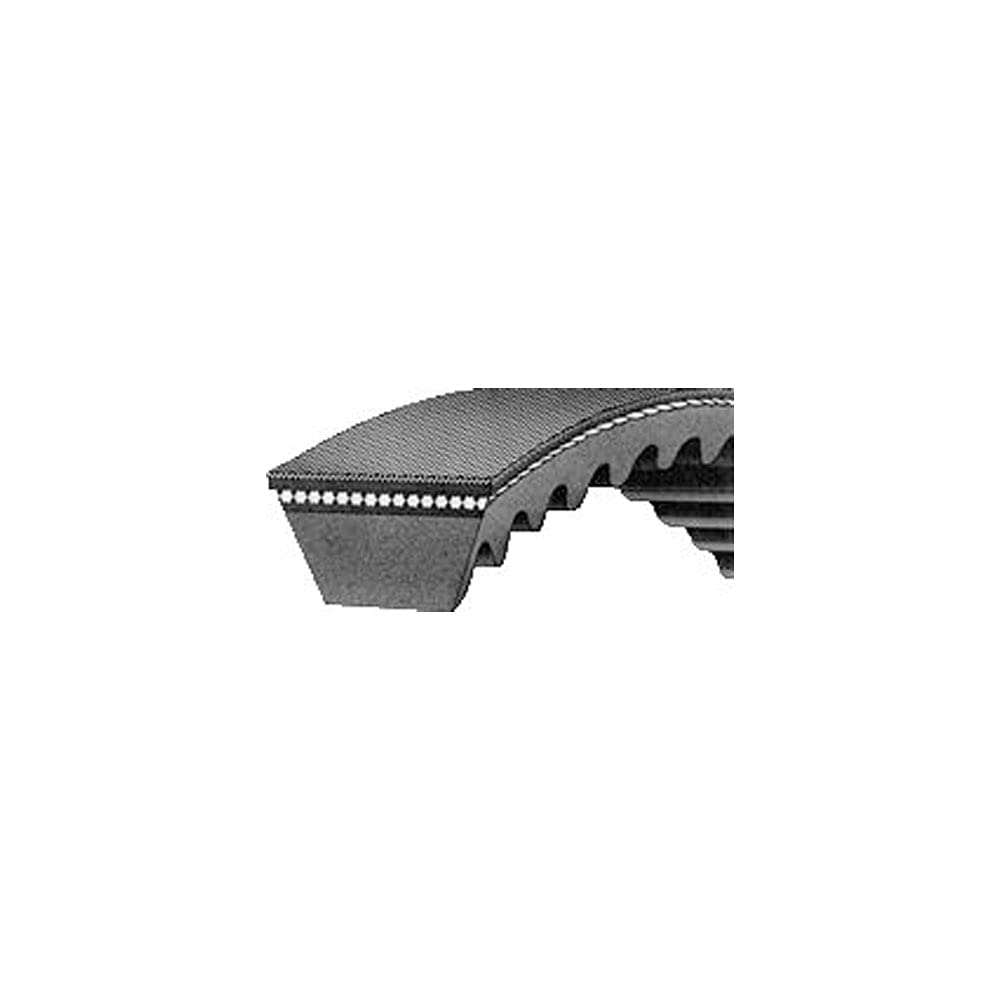 RAParts AM513116M1 Fan Belt - High-Quality Replacement Belt for Cooling Systems | Perfect for Automotive, HVAC, and Industrial Fan Applications