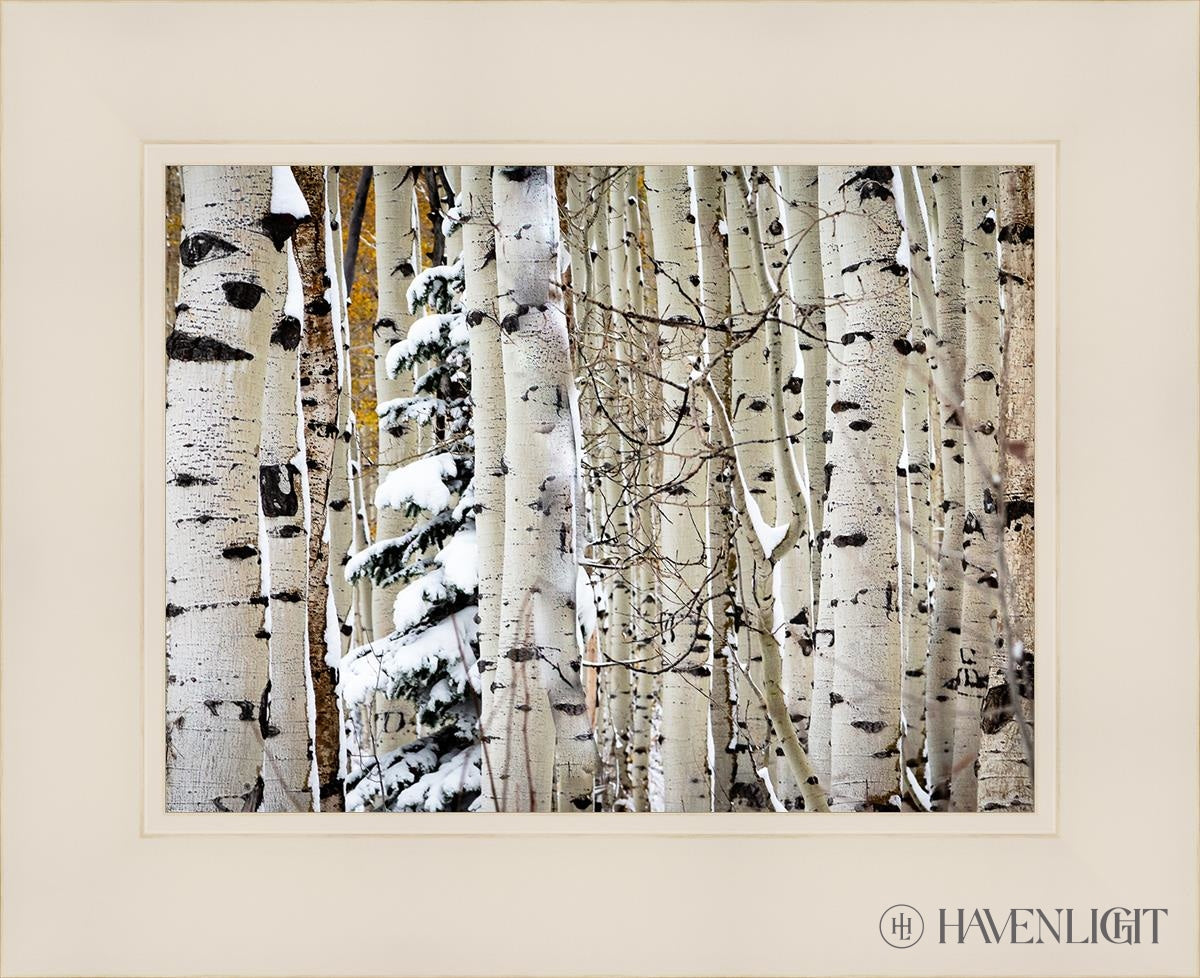 Christmas Around the Corner - Stunning Guardsman Pass Landscape Photo Print - Park City Utah Wall Art - Perfect for Holiday Home Decor & Winter Gift Ideas