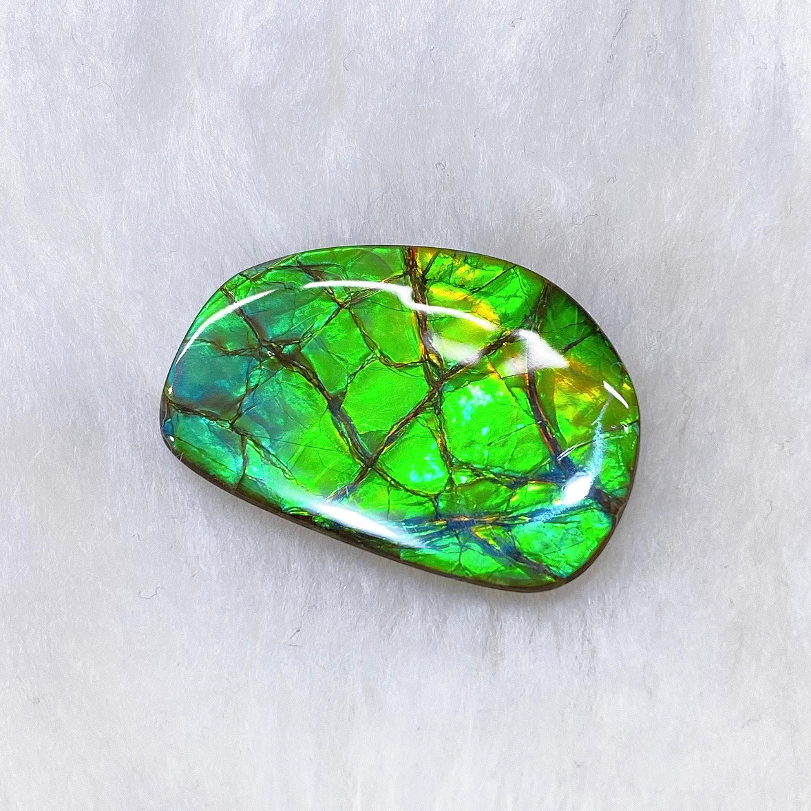 Natural Freeform Ammolite Gemstone FNA22100 - Unique Iridescent Jewelry for Collectors & Healing Crystals Enthusiasts | Perfect for Meditation, Energy Work & Statement Jewelry