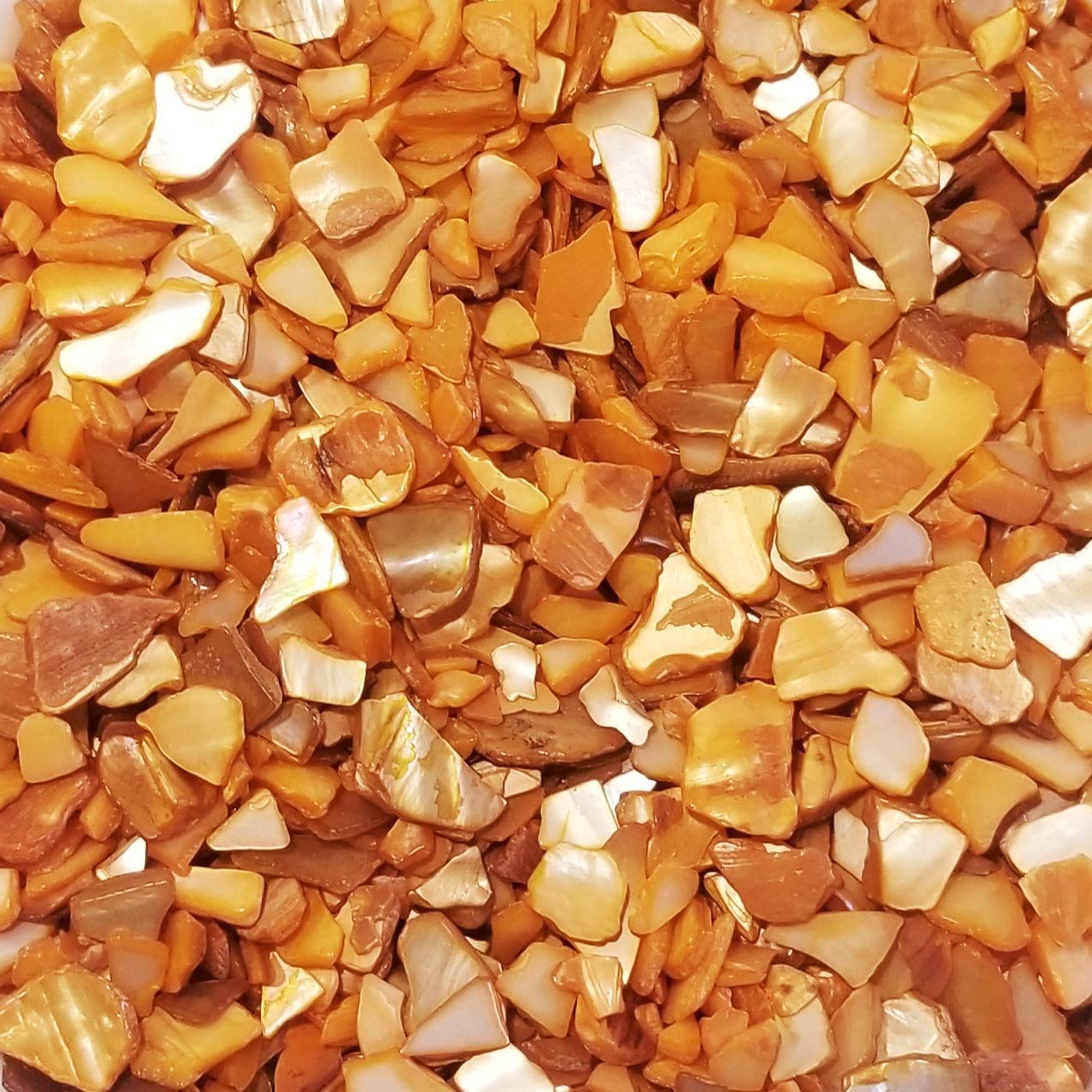 Natural Crushed Shells for Beach Weddings, Vase Filler, Home Decor & DIY Crafts - 32oz (2lb) Orange Pearl - Perfect for Coastal Decor, Centerpieces, and Beach-Themed Parties