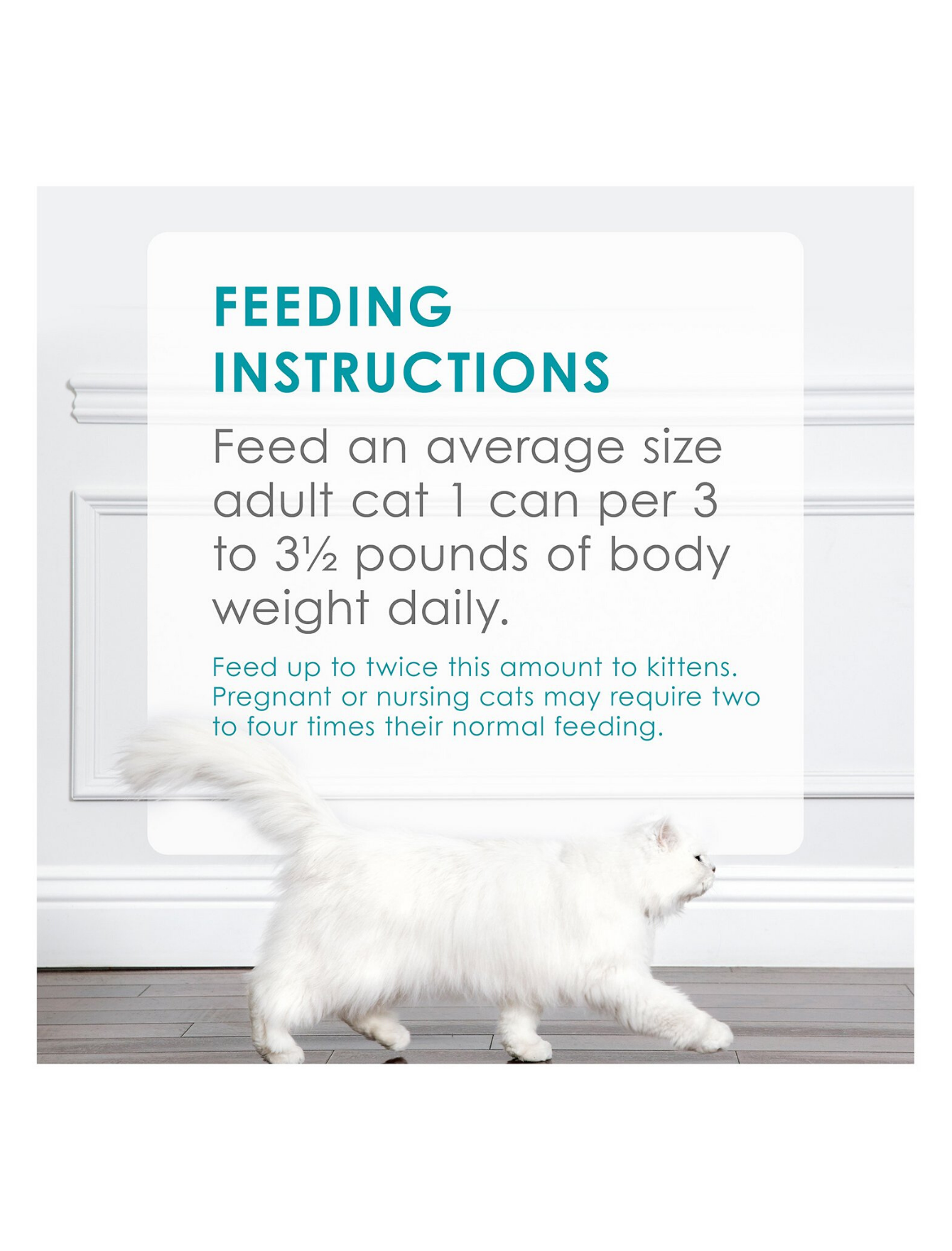 Fancy Feast Seafood Feast Canned Cat Food 85g - Premium Wet Cat Food with Real Fish & Shrimp - Perfect for Adult Cats' Daily Meals & Special Treats