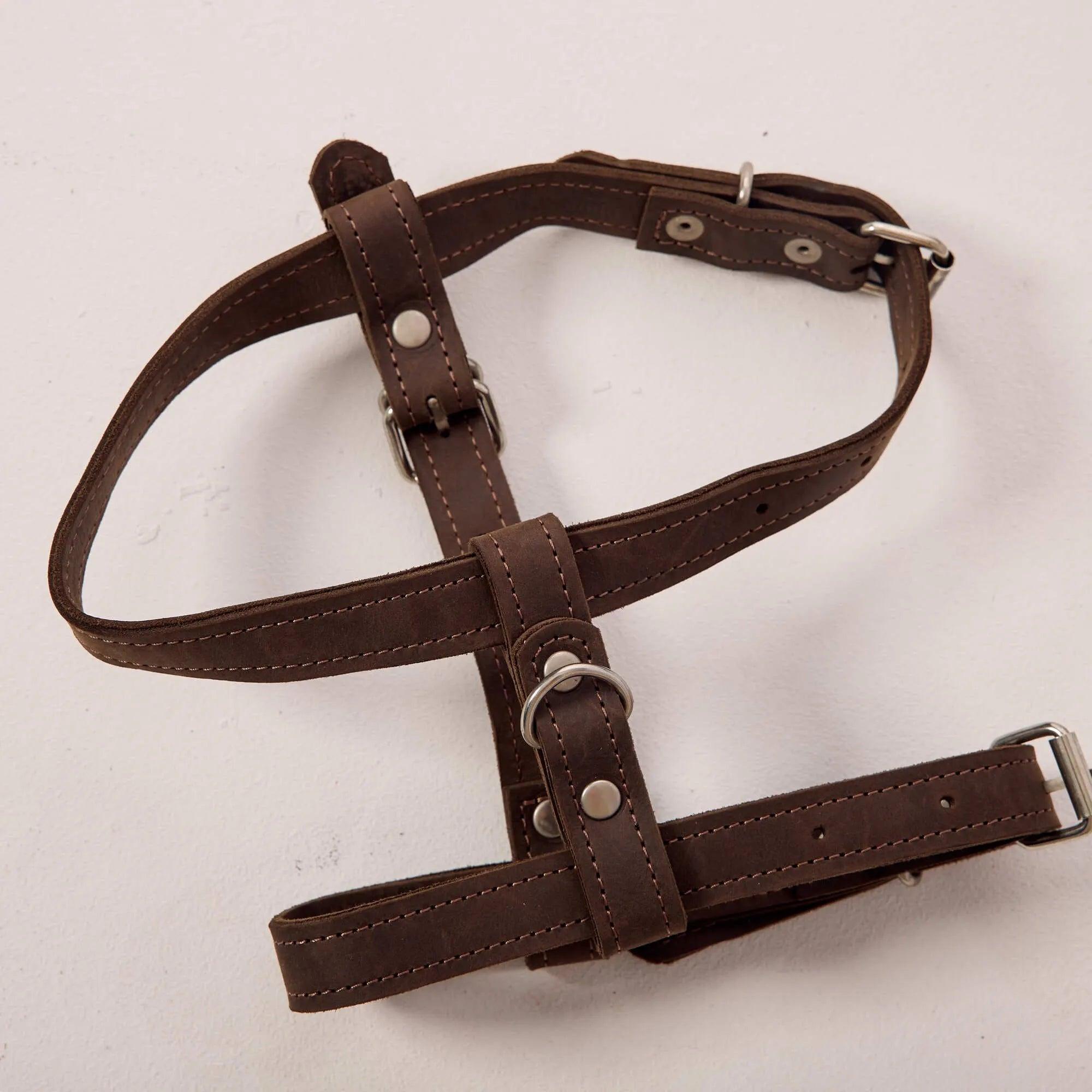Premium No-Pull Dog Harness with Adjustable Leash - Reflective & Padded for Small Medium Large Dogs - Perfect for Walking, Running, Hiking & Outdoor Adventures