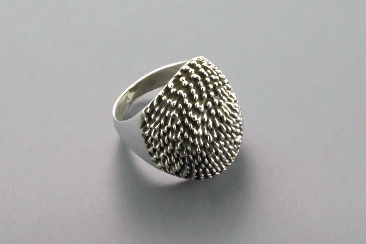 Sterling Silver Echidna Signet Ring for Men & Women - Unique Animal Jewelry Gift for Nature Lovers, Fashion Statement & Everyday Wear