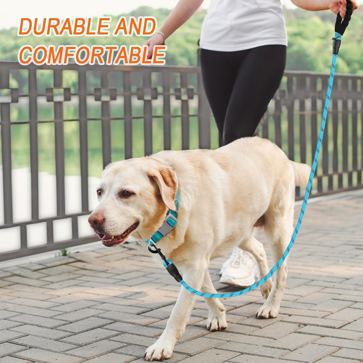 BARKBAY Heavy Duty Dog Leash 2 Pack - 5FT Reflective Dog Leashes for Large Dogs with Comfortable Padded Handle, Durable Training Leash for Walking, Running & Outdoor Adventures (Blue + Black)