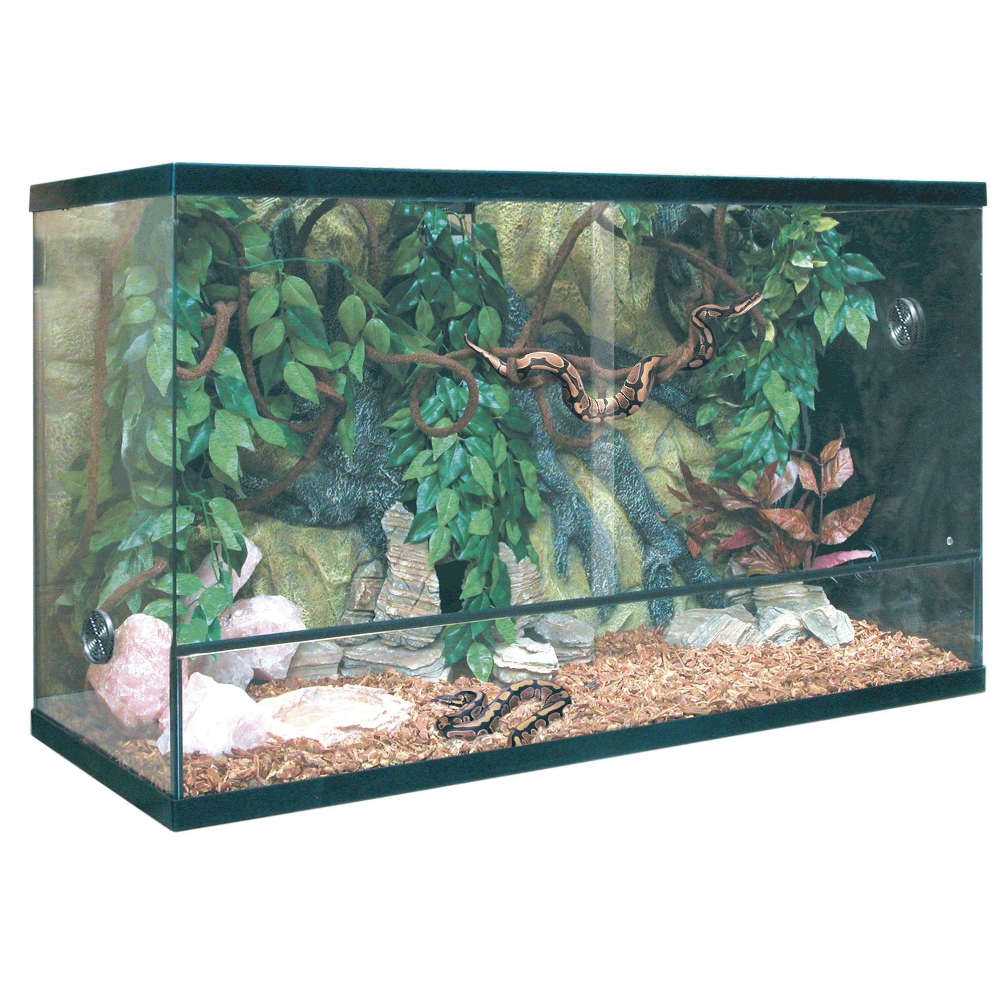 Repti-Selva TRS180 Glass Reptile Terrarium Tank - 18 Gallon Habitat for Snakes, Lizards & Geckos - Ideal for Home, Office or Classroom Reptile Enclosures