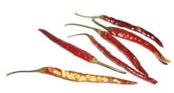 Japanese Hot Pepper Seeds - 20 Count - Super Spicy Chili Peppers for Cooking, Gardening & Homegrown Hot Sauce Making