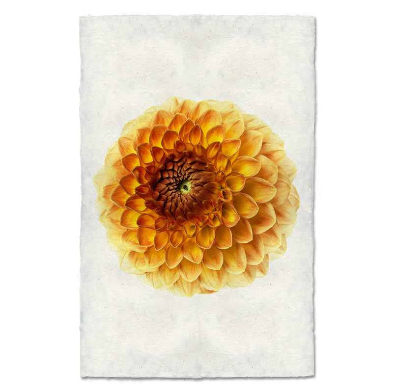 Blyton Softer Art Print - High Quality Canvas Wall Decor for Living Room, Bedroom & Office - Perfect for Home Decor and Gift Giving