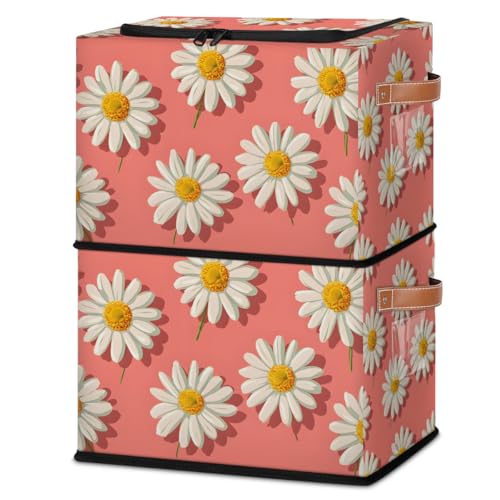 Daisy Flowers
