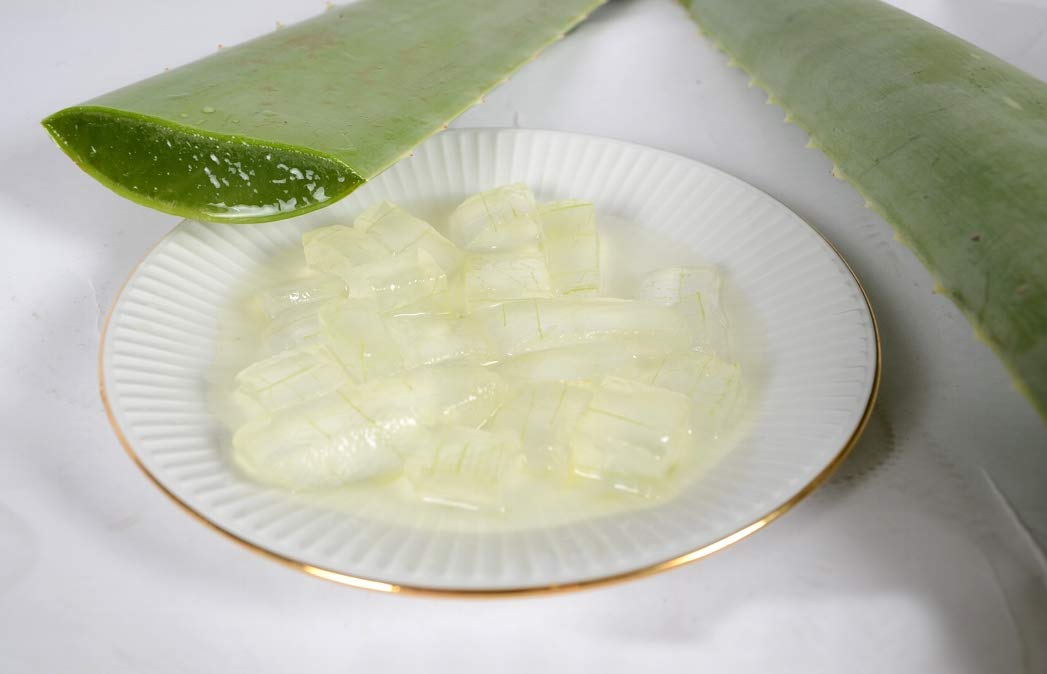 3 Pack Premium Organic Aloe Vera Leaves (Barbadensis Miller) for Skin Care, Hair Treatment & Natural Remedies