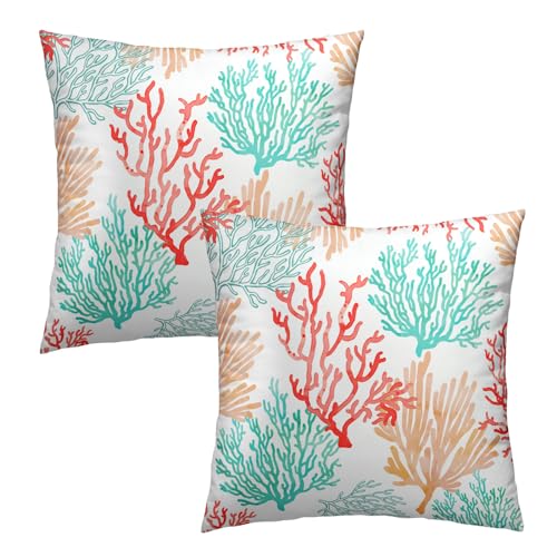 Coral Branch