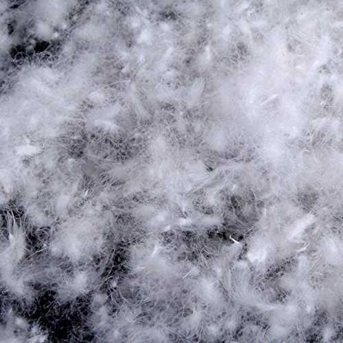 Premium 550 Fill Power White Duck Down - 60% Down & 40% Feather Blend - 1lb Bulk Filling for DIY Pillows, Comforters & Winter Jackets - Hypoallergenic & High Loft Insulation