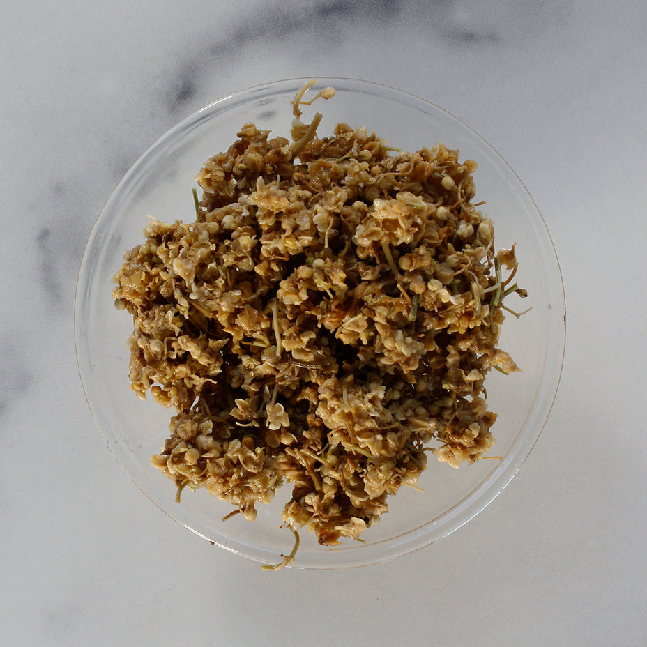 Organic Elderflower Sample - Premium Dried Elderflowers for Tea, Baking & Herbal Remedies | Perfect for Homemade Infusions, Skincare & Wellness Drinks