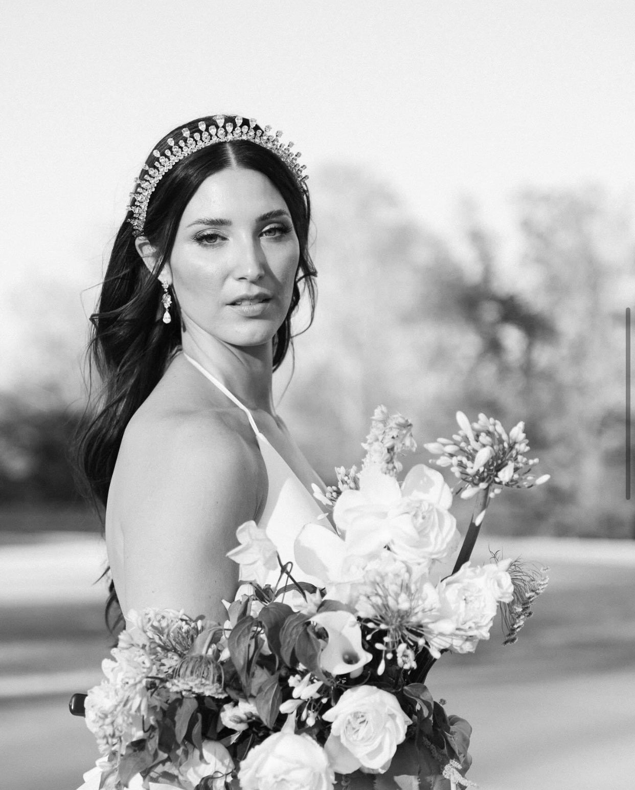 QUEEN ANNE Simulated Diamond Halo Tiara - Elegant Crystal Bridal Crown for Weddings, Prom, Pageants & Special Occasions