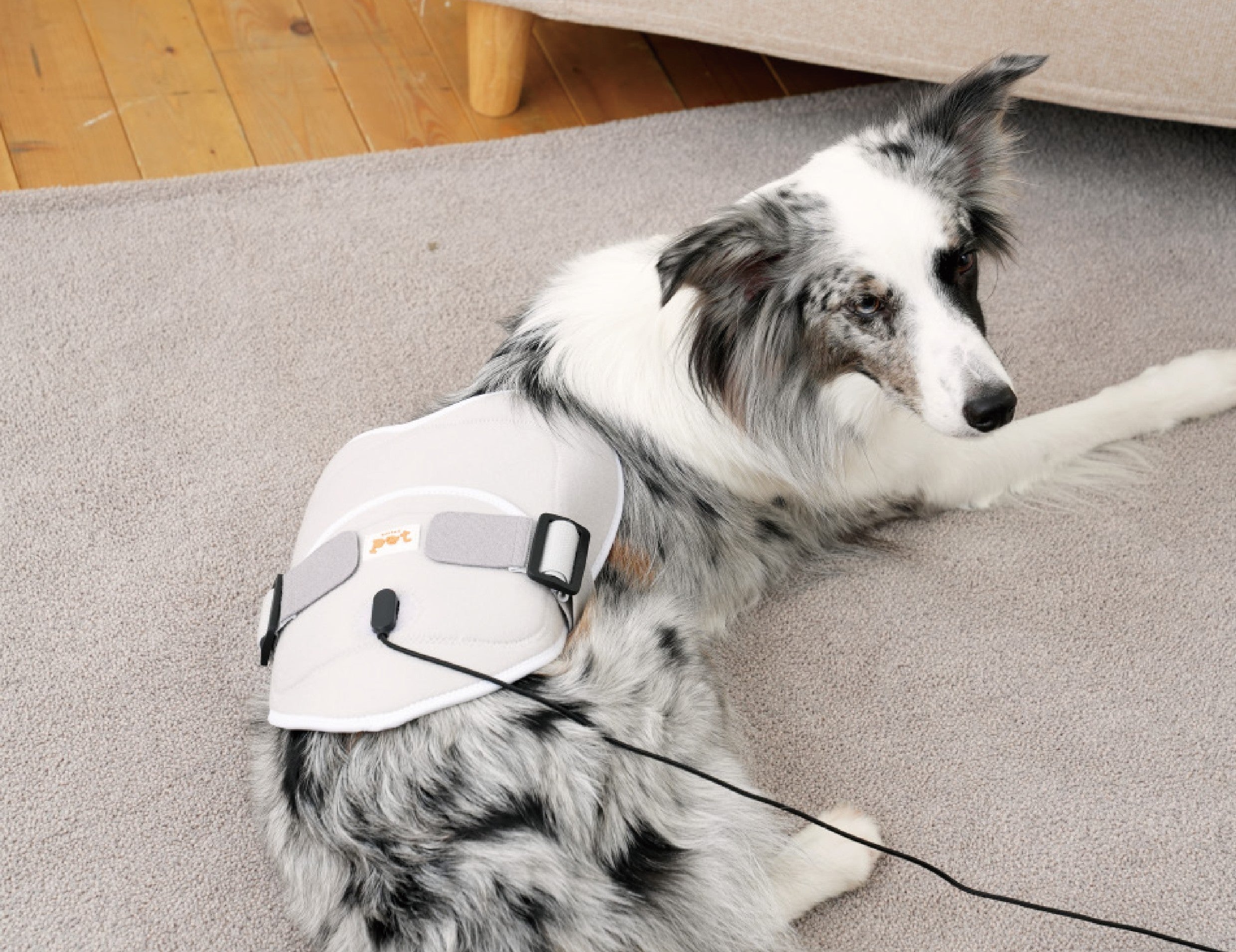 Cirius Pet Infrared Therapy Heating Pad for Dogs & Cats - Heart Design, Pain Relief & Joint Support - Perfect for Arthritis, Hip Dysplasia & Post-Surgery Recovery