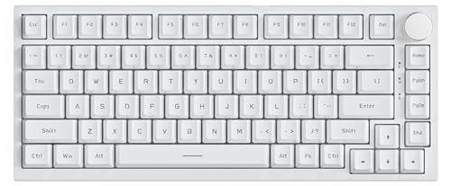 Blanc (USB-C Wired, Clicky Blue Switch)