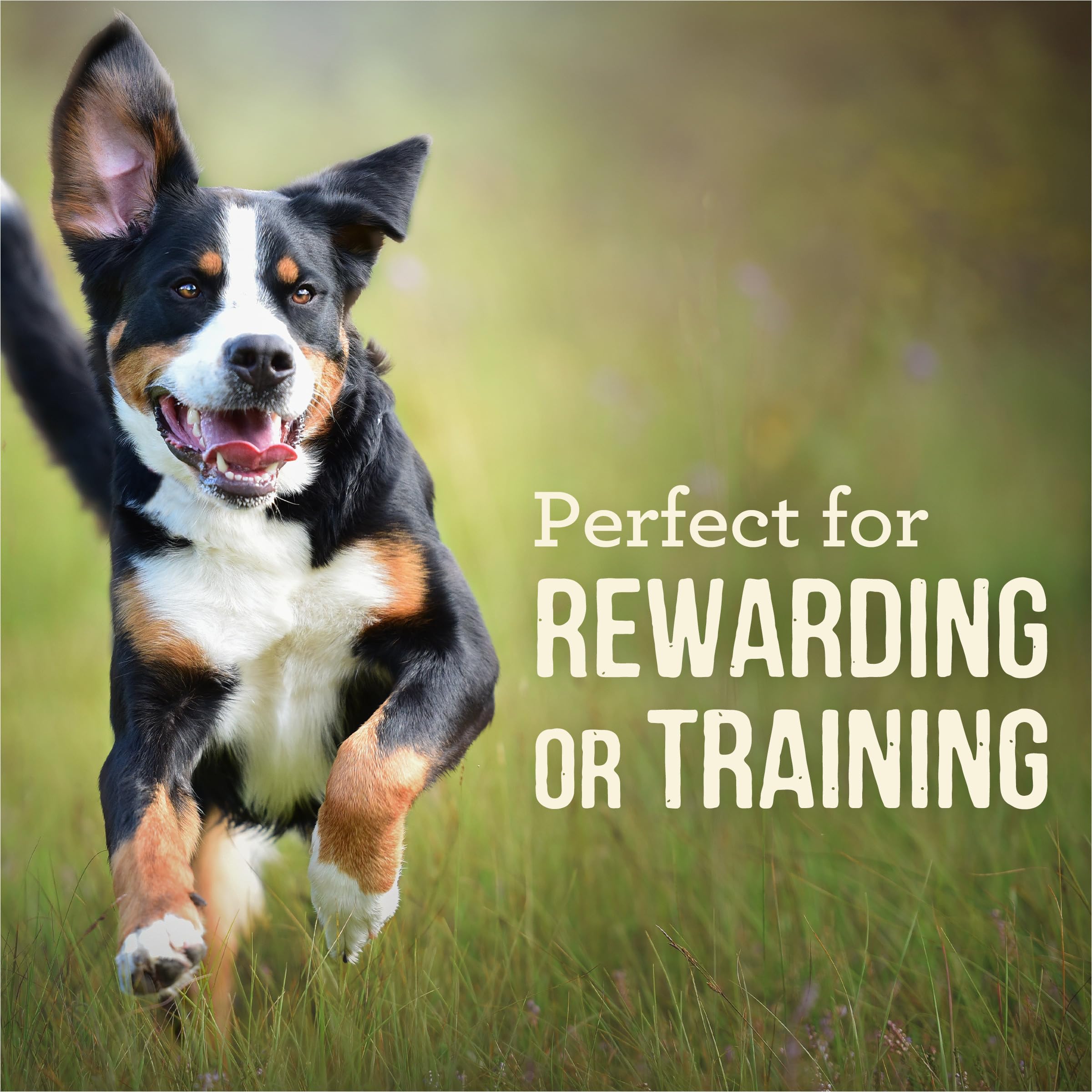 Merrick Power Bites Natural Soft & Chewy Grain Free Dog Treats with Real Salmon - Healthy Training Snacks for Small & Large Dogs - 6 oz Bag - Perfect for Reward, Training & On-the-Go Treats