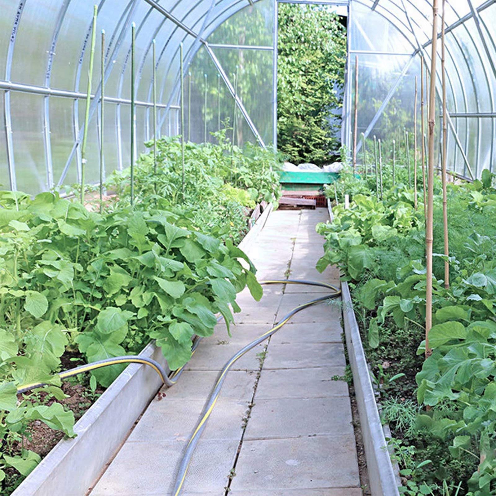 6.56x19.7Ft Clear Polyethylene Greenhouse Plastic Film - UV Resistant Plant Cover for Freeze & Frost Protection | Durable Garden & Agricultural Greenhouse Sheeting for Year-Round Plant Growth