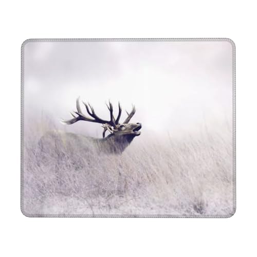 Wild Deer