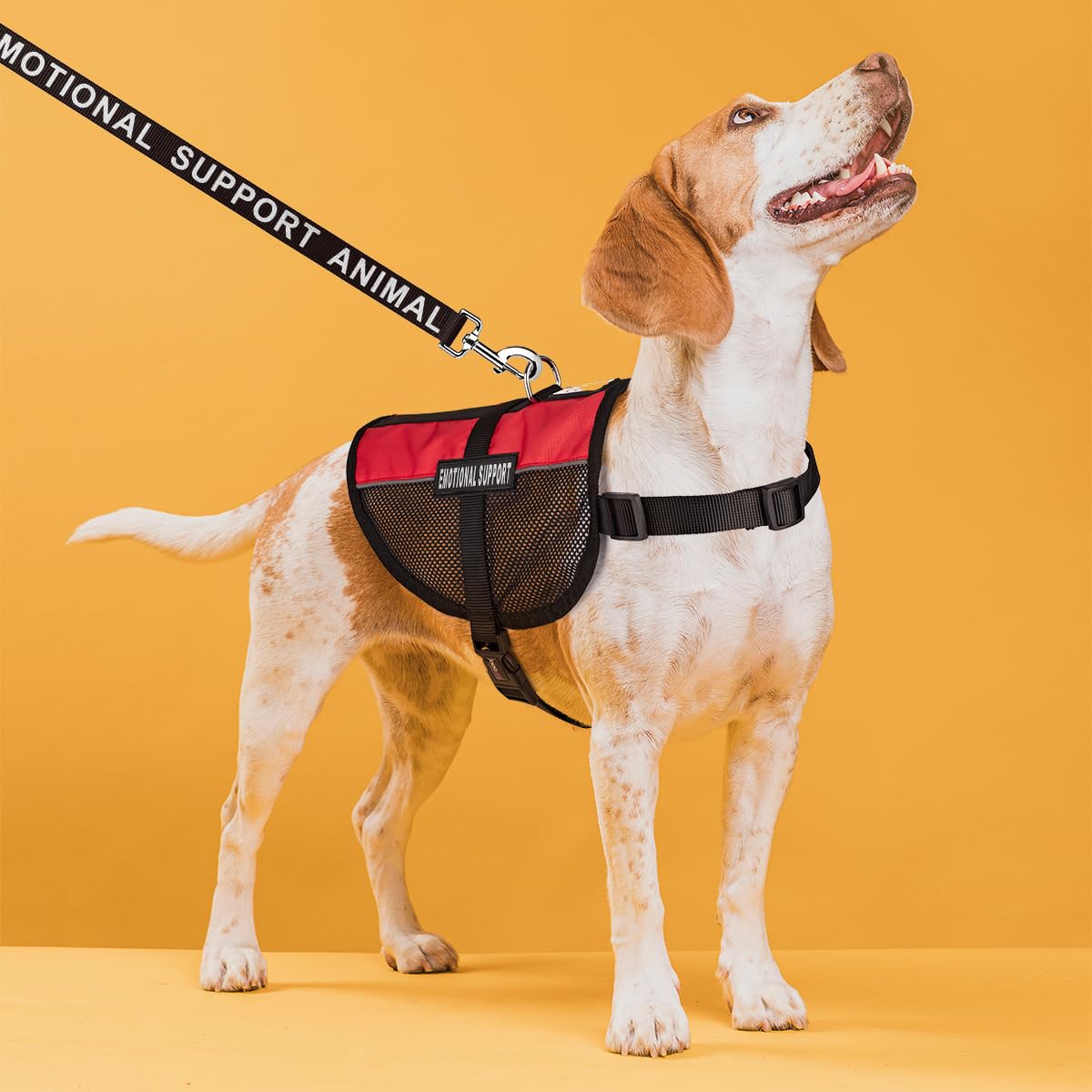 Emotional Support Dog Vest Bundle - Adjustable Service Dog Harness with Reflective ESA Patches, Leash & ID Card for Therapy Dogs - Perfect for Air Travel, Public Spaces & Anxiety Relief