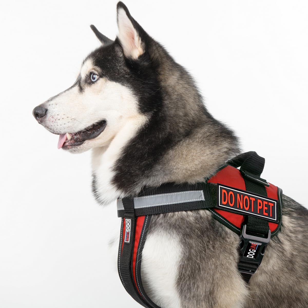 Dogline Do Not Pet Removable 3D Rubber Patches for Dog Harness & Vest - Hook & Loop Backing for Small/Medium/Large Working Dogs (1.5