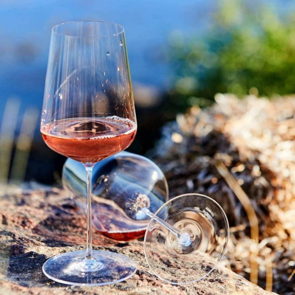 Premium Zalto Denk'Art Universal Hand-Blown Crystal Wine Glasses Set of 2 - Elegant Stemware for Red & White Wines, Perfect for Dinner Parties & Romantic Evenings
