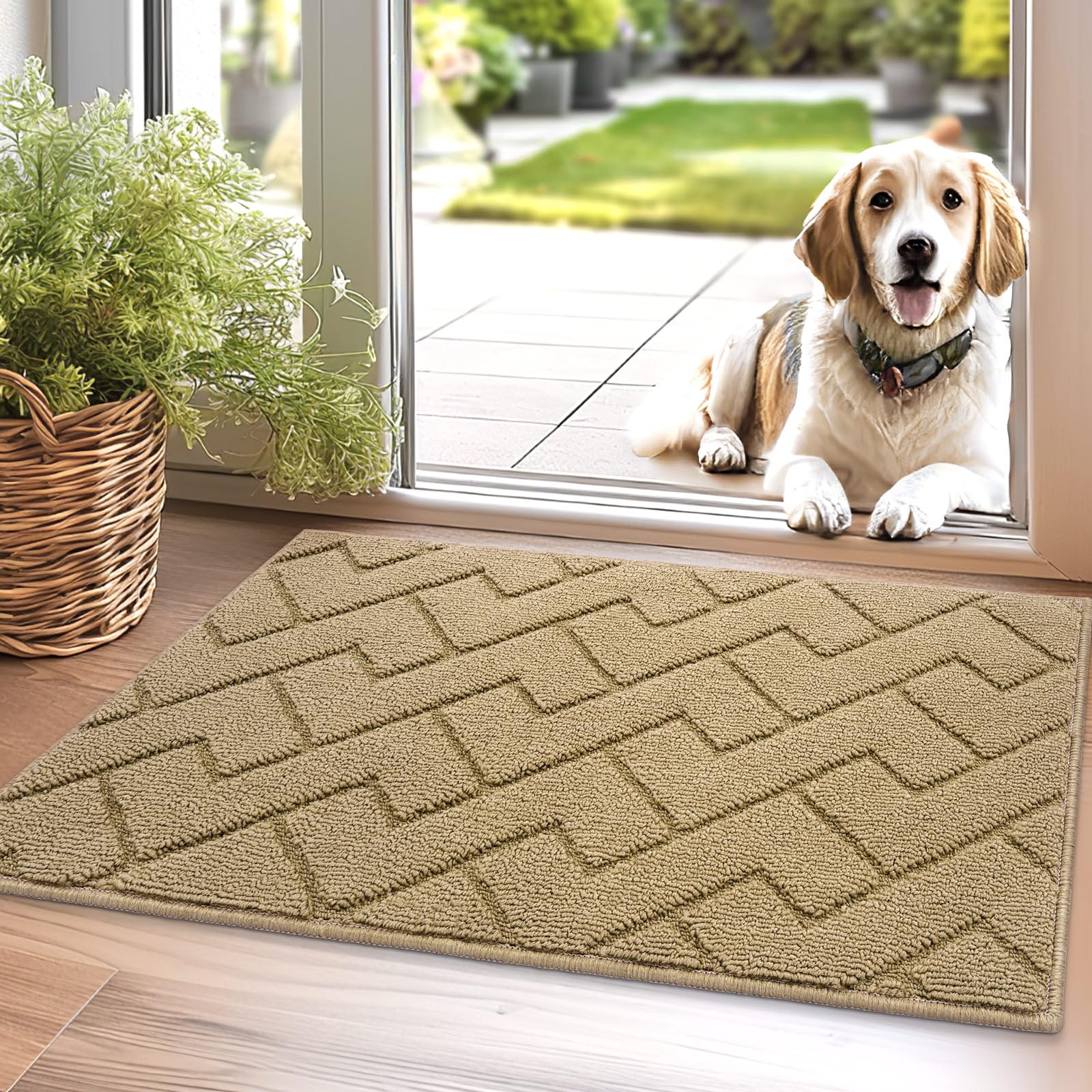 Hicorfe Non-Slip Absorbent Doormat 20