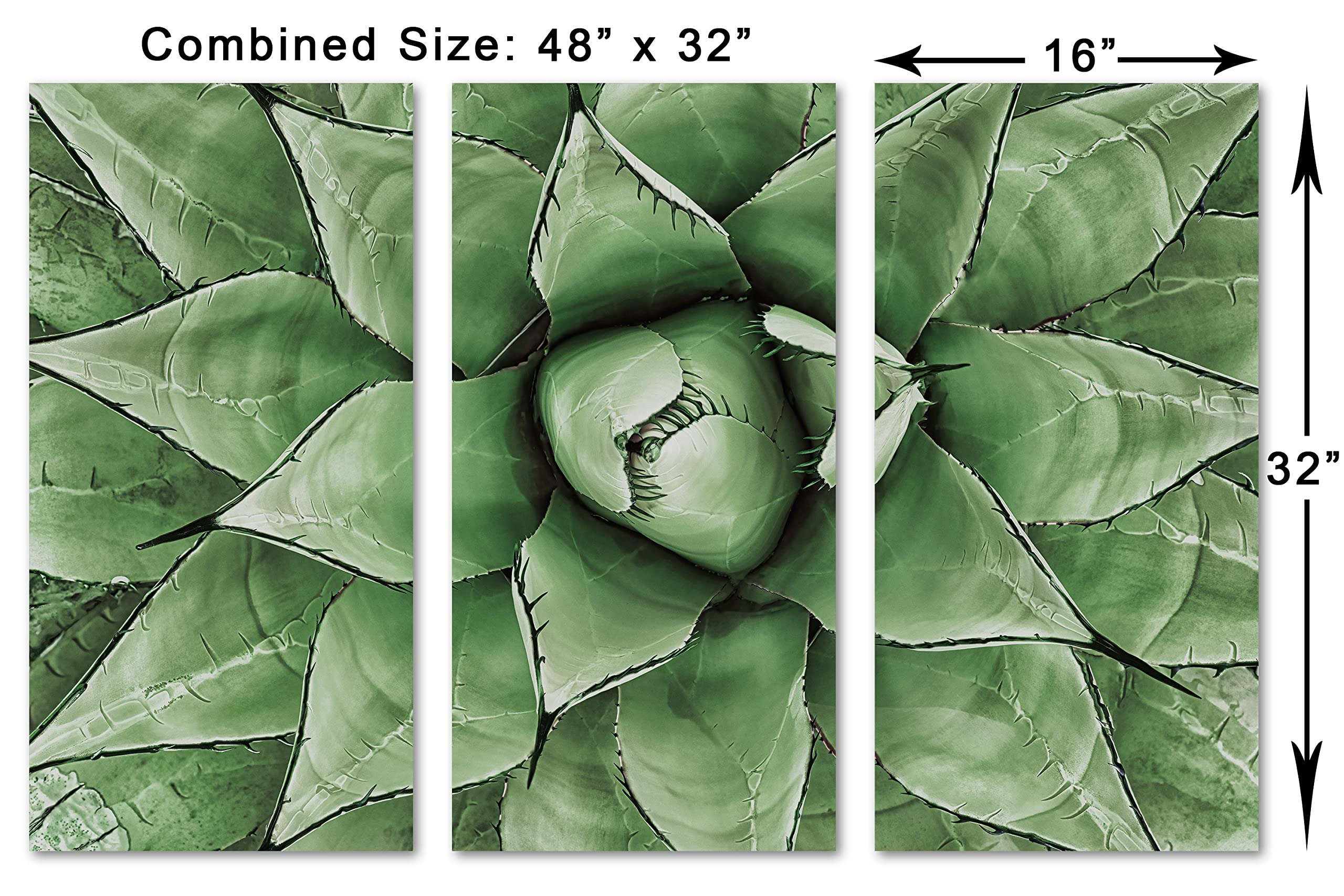 48x32 Inch Green Agave Canvas Print Wall Art - 3 Panel Split Botanical Decor for Living Room, Bedroom & Office | Agave Plant Artwork for Modern Home Decor