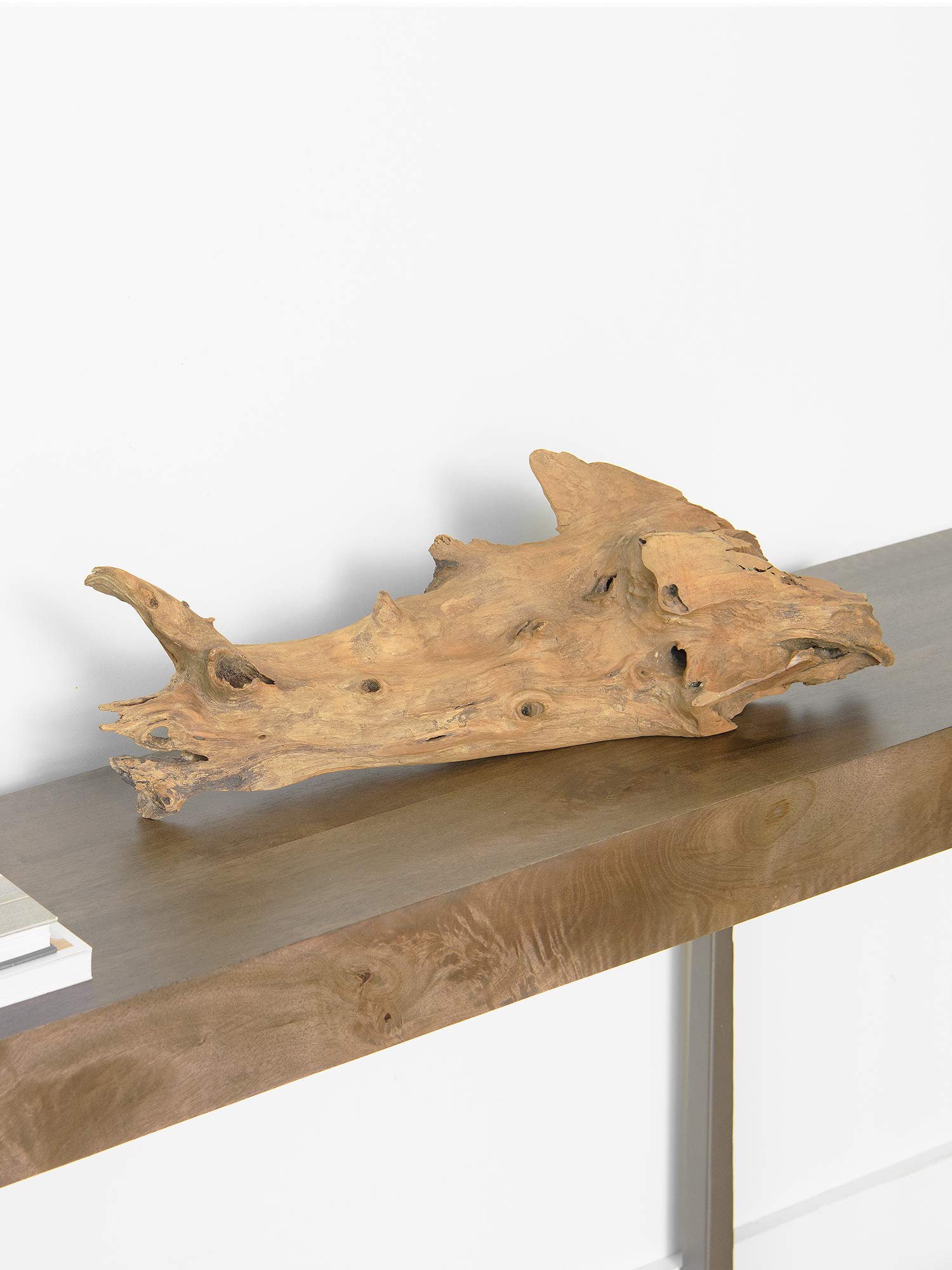 Premium Teak Root Sculpture for Home Decor - Natural Bleached Finish | Perfect for Living Room, Office & Zen Spaces