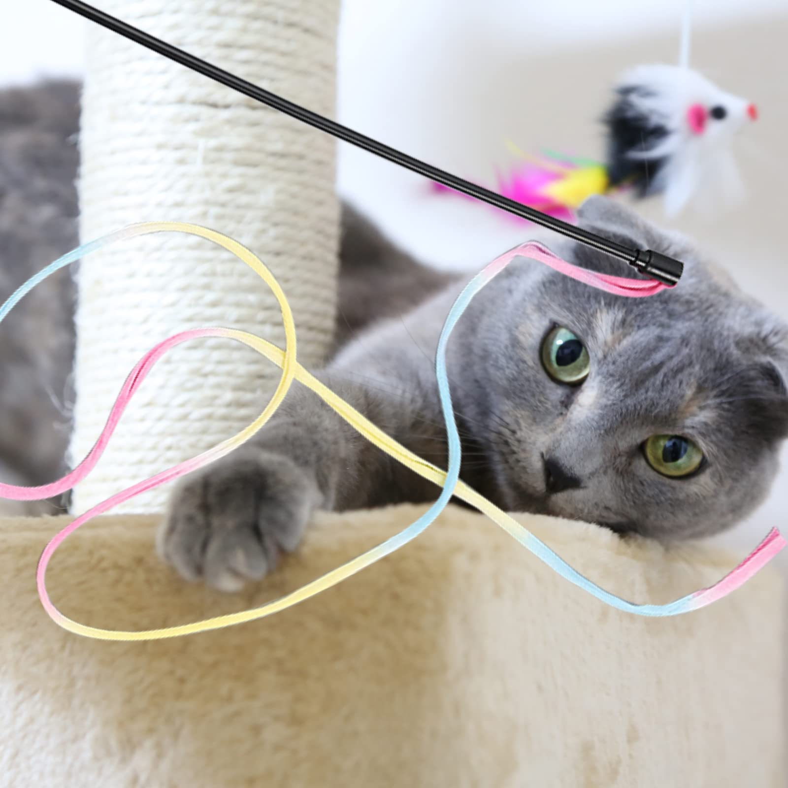 2 Pack Interactive Rainbow Cat Wand Toys with Ribbon - Colorful Kitten Teaser Wand for Indoor Play & Exercise, Strengthen Bond with Your Cat - Perfect for Training, Playtime & Interactive Fun