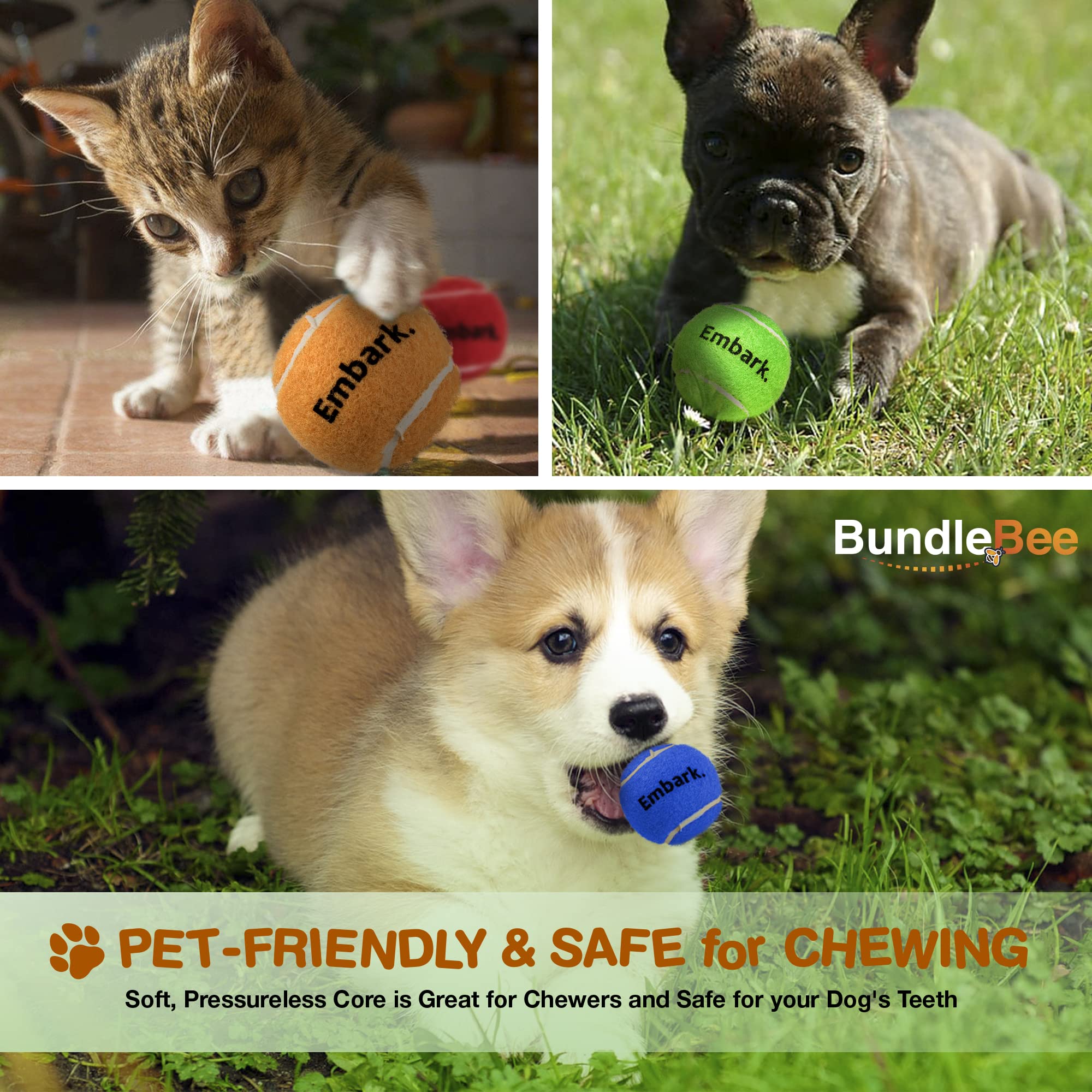Colorful Squeaky Tennis Balls for Small Dogs - 12 Pack - Perfect for Outdoor Fetch & Training