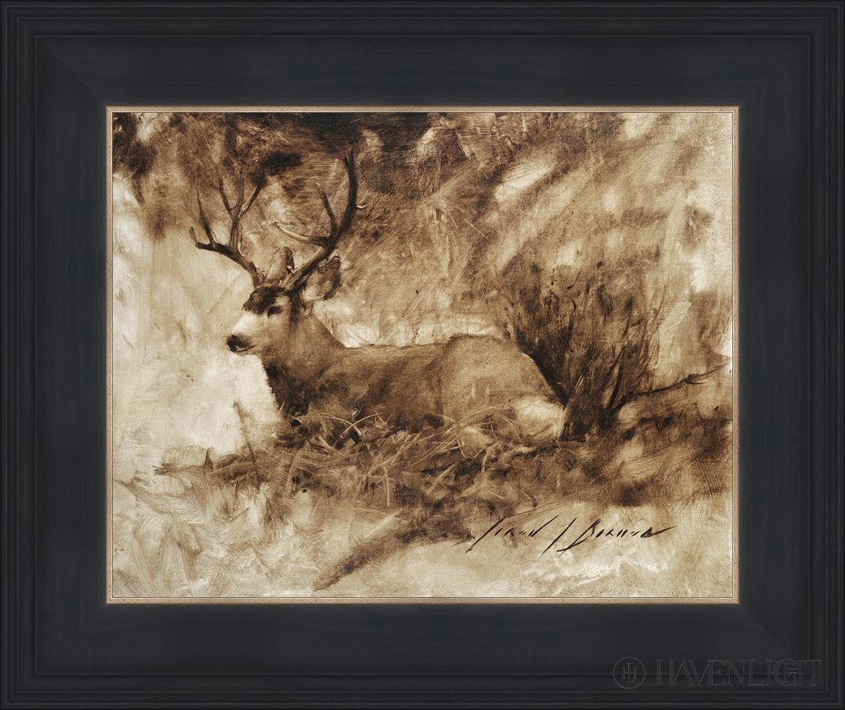 Bedded Buck By Jared Barnes - Premium Hunting & Outdoor Gear for Camping, Hiking & Adventure Enthusiasts