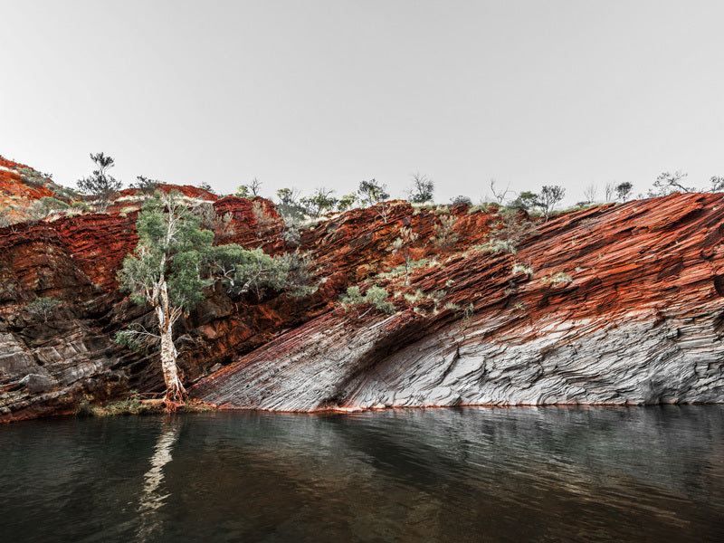 By the Billabong Unframed Art Print - Australian Landscape Wall Decor for Living Room, Bedroom & Office