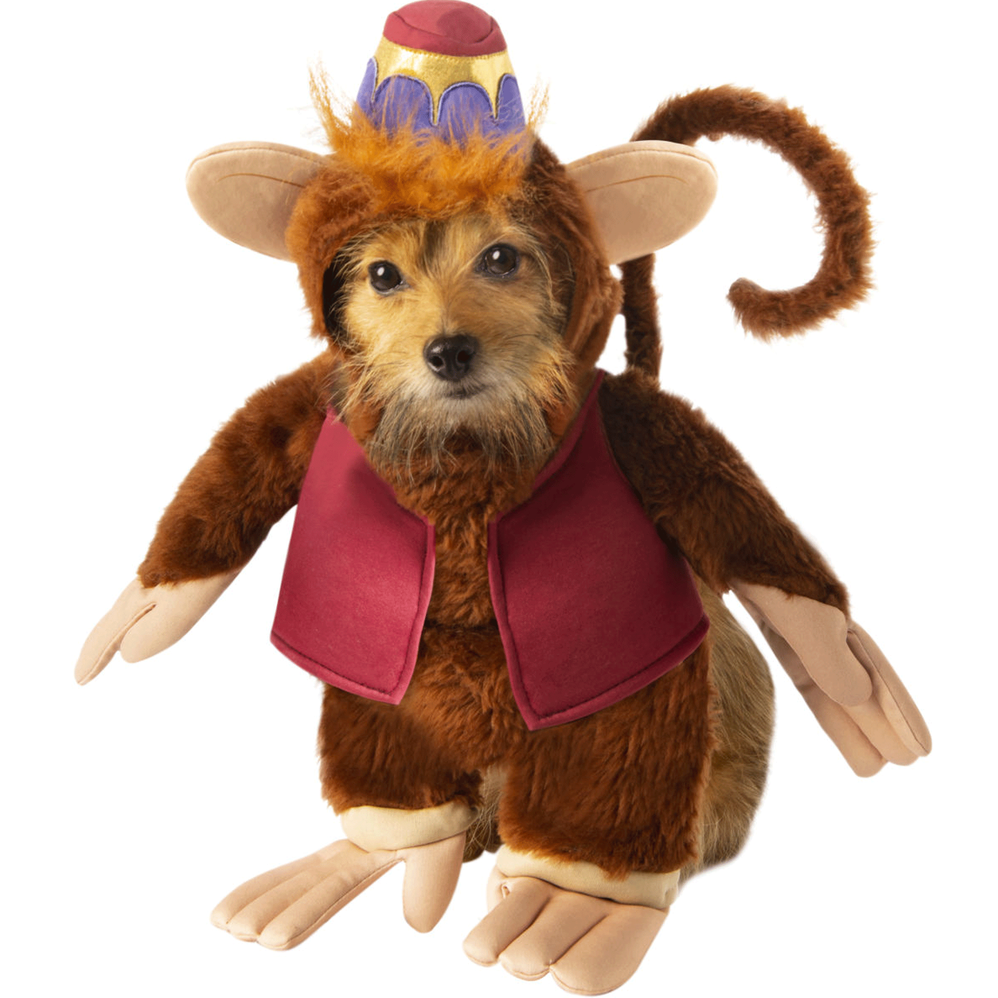 Rubie's Pet Shop Boutique Dog Abu Halloween Costume - Cute Disney Aladdin Inspired Pet Costume for Small Dogs, Halloween Dress Up & Party Outfit