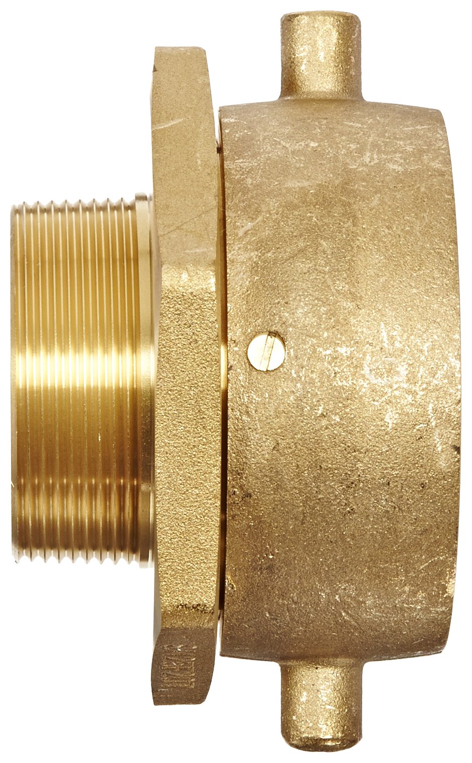 Dixon Valve SM25F20T 2-1/2